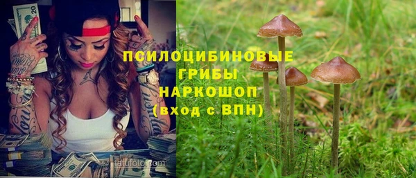 наркотики Белокуриха