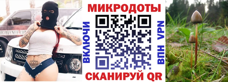 MEGA ссылки  Пятигорск  Галлюциногенные грибы GOLDEN TEACHER  что такое  